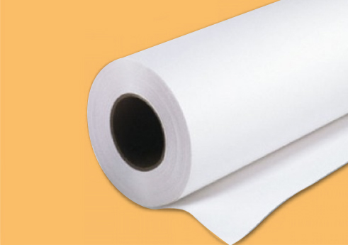 White chick starter paper roll, 700 m x 65 cm